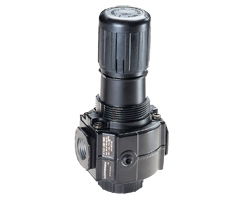 Excelon® Series 73 Relieving Regulator 1/2BSPP